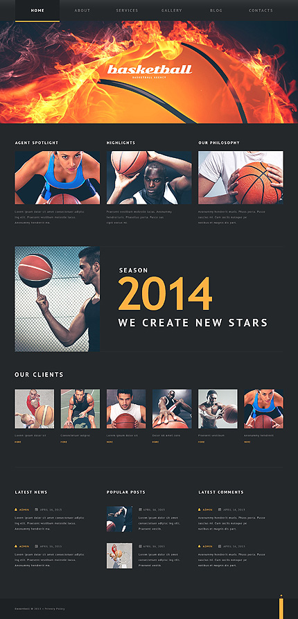 Basketball Put on Fire WordPress Theme